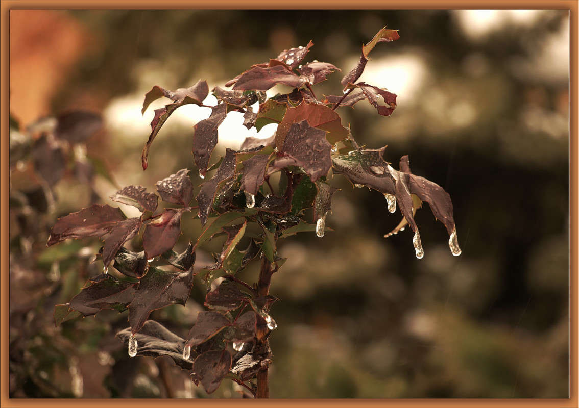 ���������� ����� ��������� 3 ����� ������  �� PhotoGeek.ru #������ ��� �������