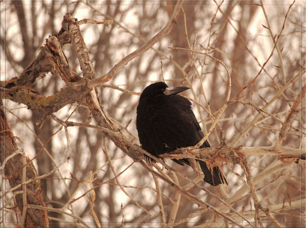 �� ������ ����� ������  �� PhotoGeek.ru #�������� ���