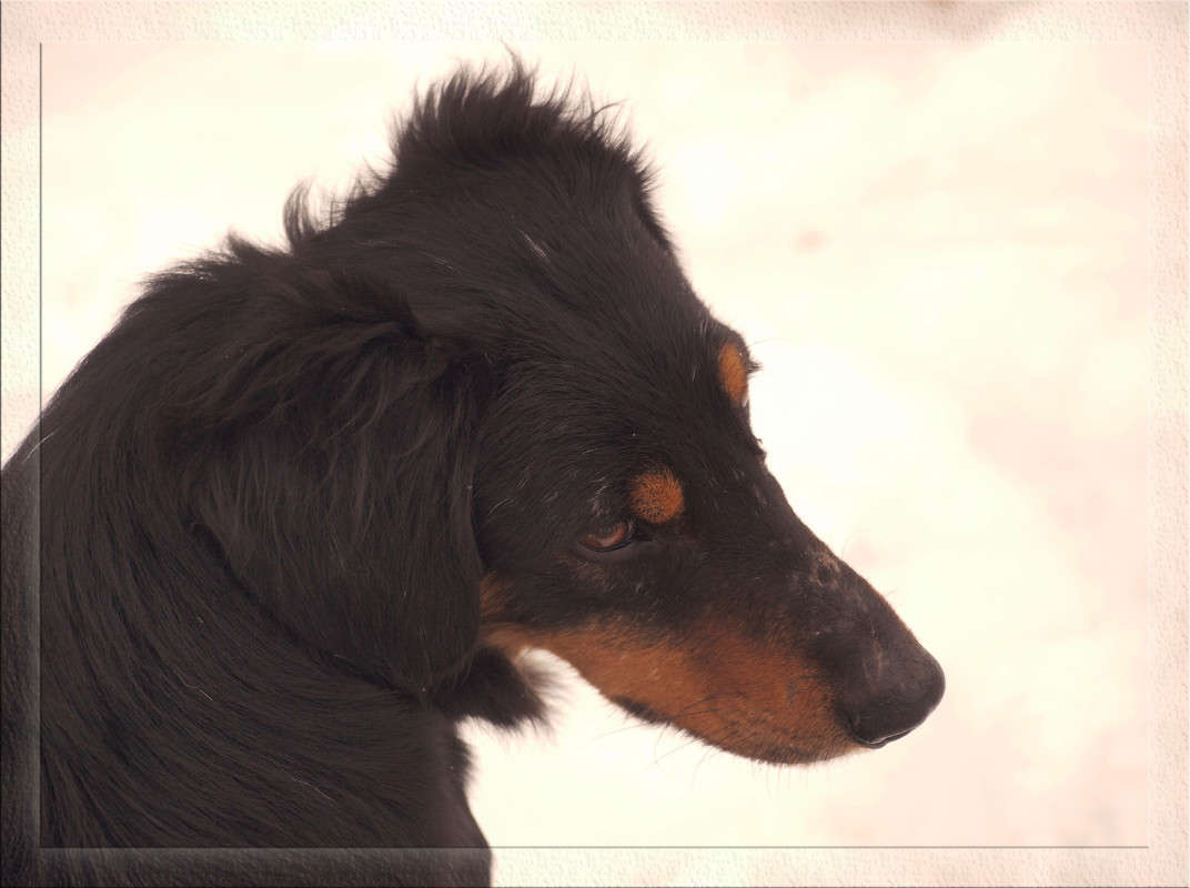 ���� � ����� ����� ������  �� PhotoGeek.ru #�������� ���