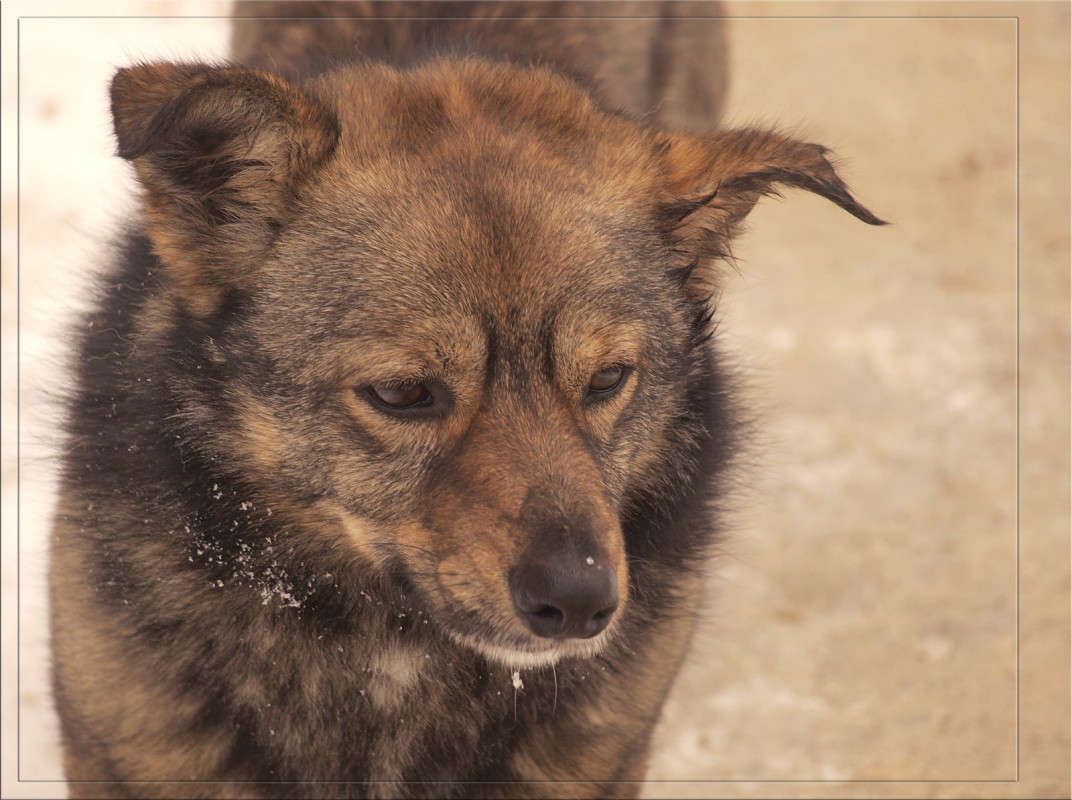 ���� � ����� 2 ����� ������  �� PhotoGeek.ru #�������� ���