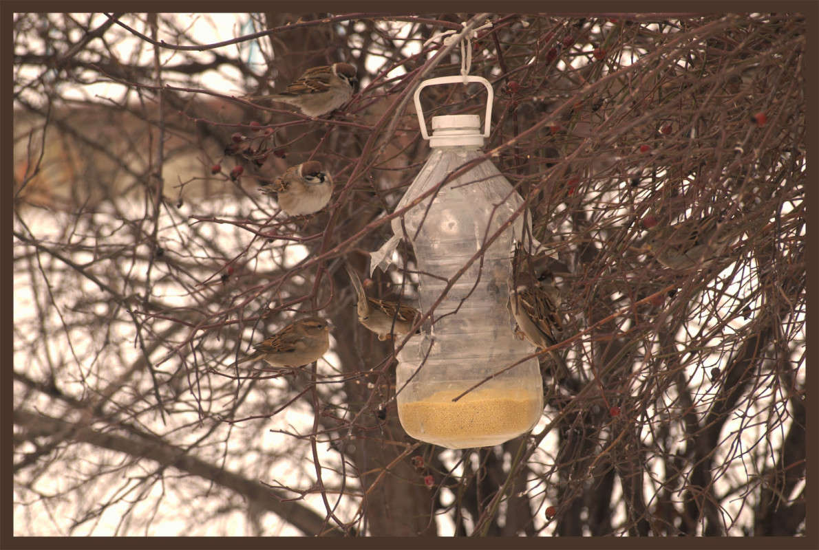 ������� �� ������ ����� ������  �� PhotoGeek.ru #�������� ���