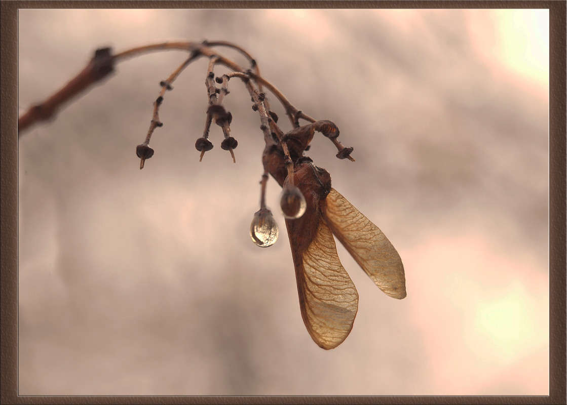 �������� ������ 3 ����� ������  �� PhotoGeek.ru #������ ��� �������