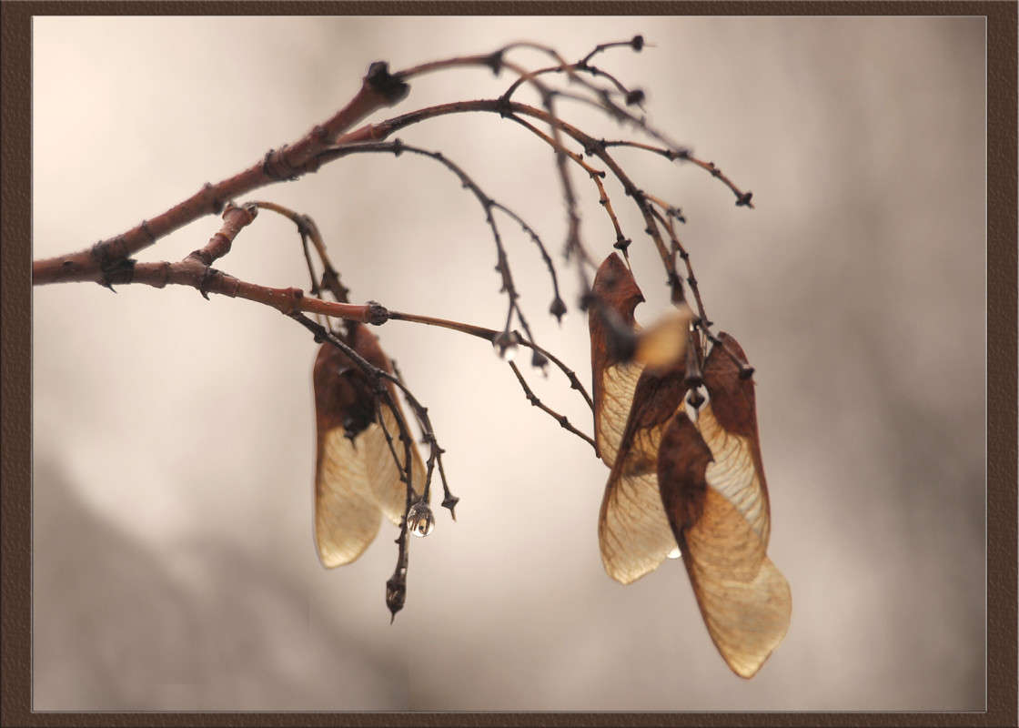 �������� ������ 2 ����� ������  �� PhotoGeek.ru #������ ��� �������