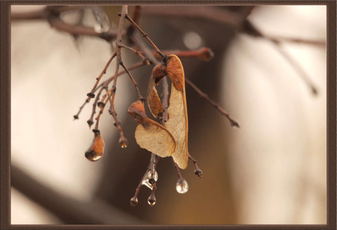 �������� ������ ����� ������  �� PhotoGeek.ru #������ ��� �������