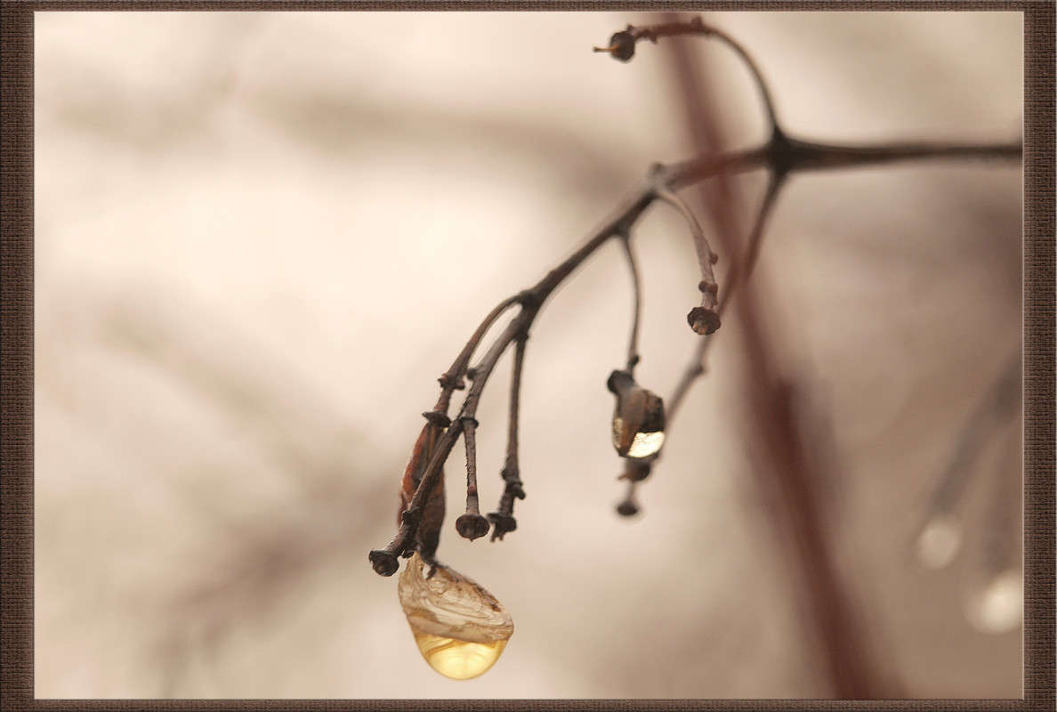 �������� ������ 4 ����� ������  �� PhotoGeek.ru #������ ��� �������