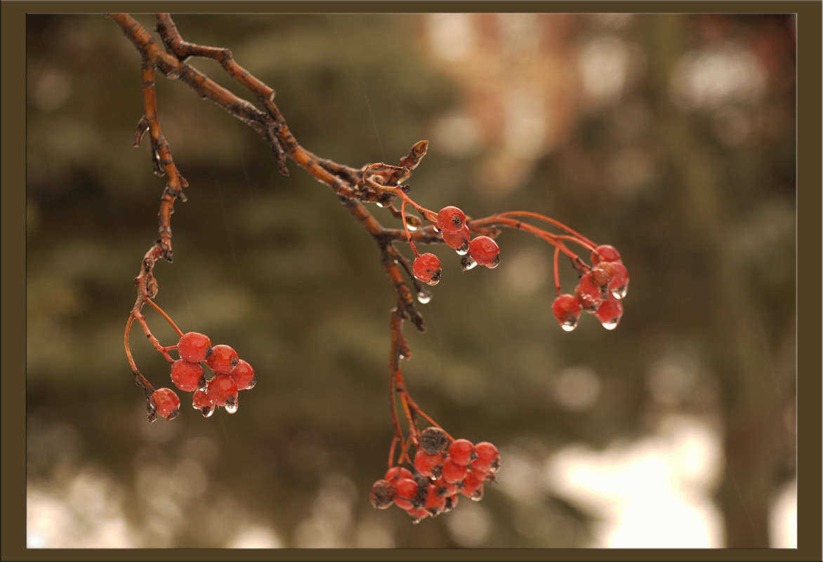 �������� ������ 5 ����� ������  �� PhotoGeek.ru #������ ��� �������