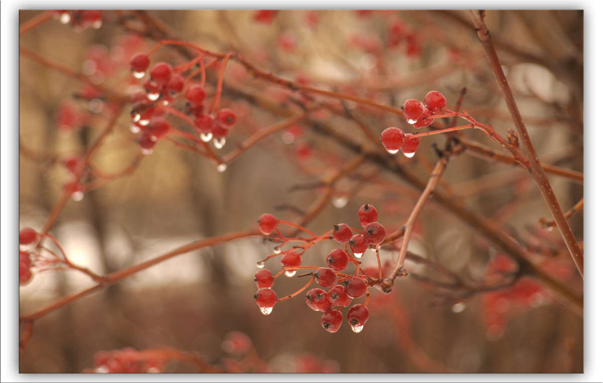 �������� ������ 7 ����� ������  �� PhotoGeek.ru #������ ��� �������