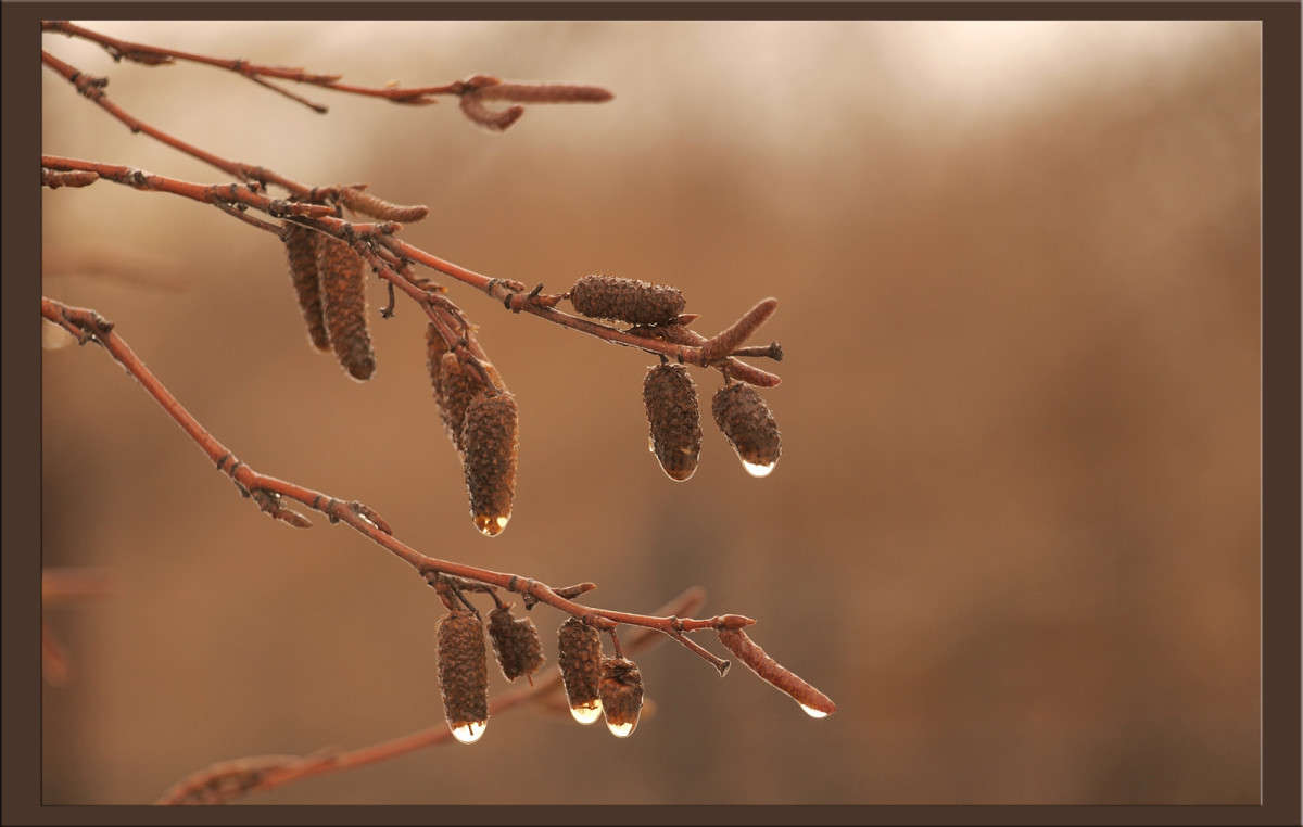 �������� ������ 8 ����� ������  �� PhotoGeek.ru #������ ��� �������