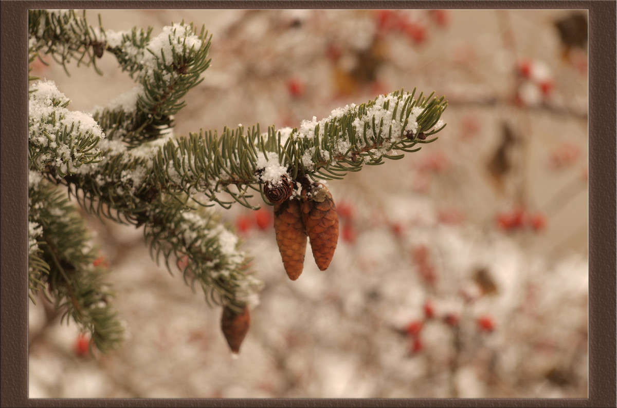 ����� � �������� ����� ������  �� PhotoGeek.ru #������ ��� �������