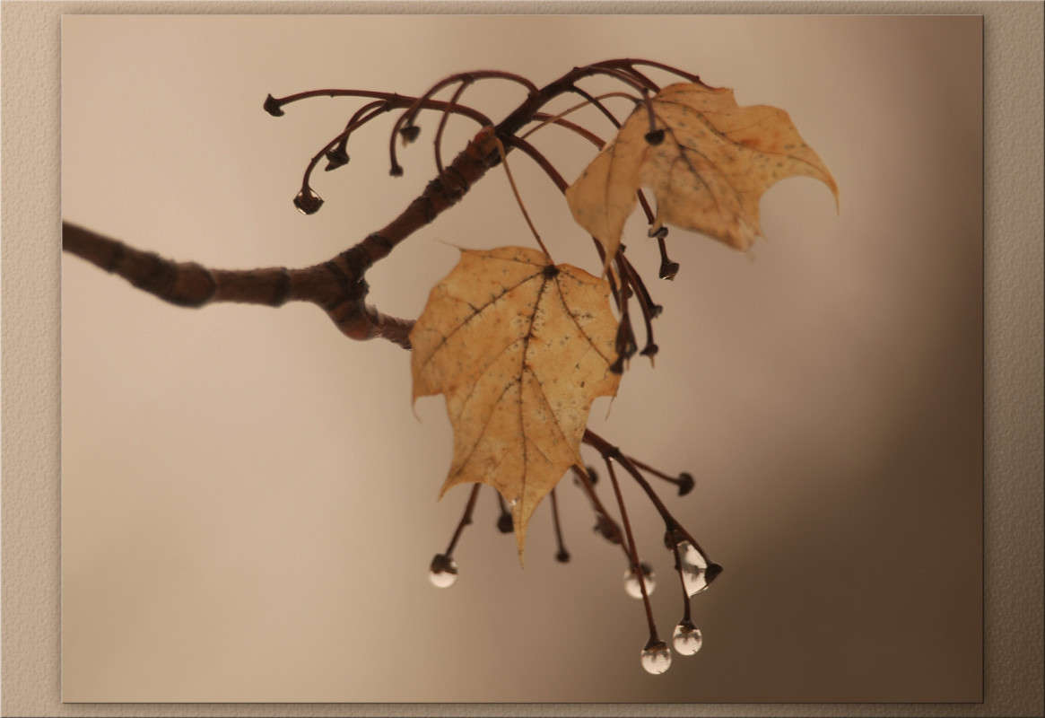 �������� ������ 9 ����� ������  �� PhotoGeek.ru #������ ��� �������