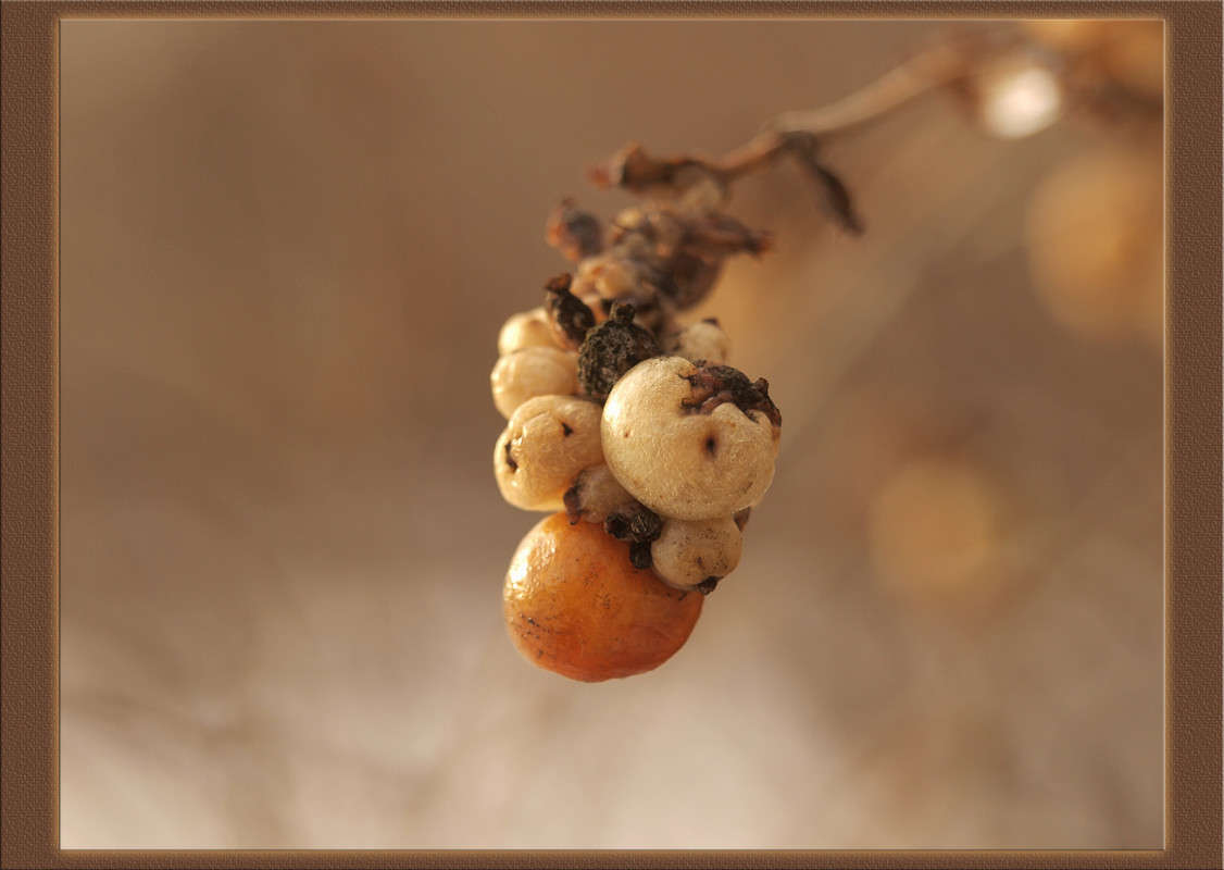 �������� ������ 10 ����� ������  �� PhotoGeek.ru #������ ��� �������