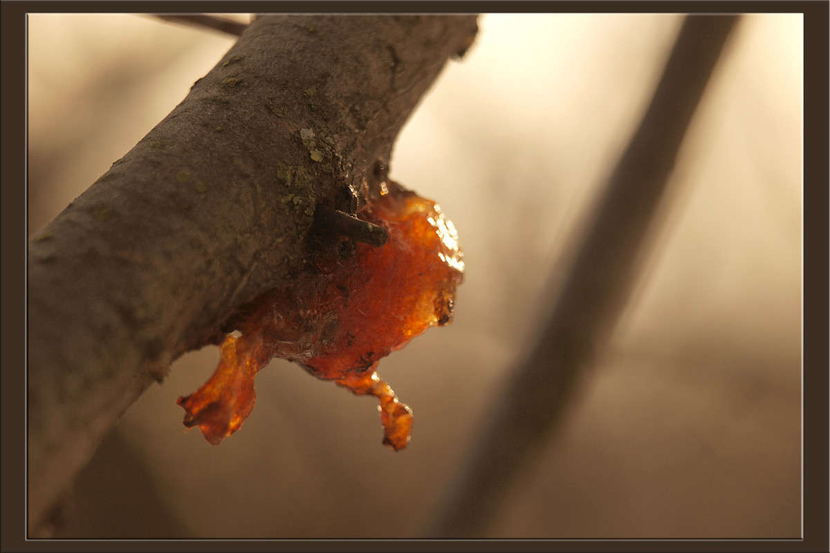 ������� ����� ������  �� PhotoGeek.ru #������ ��� �������