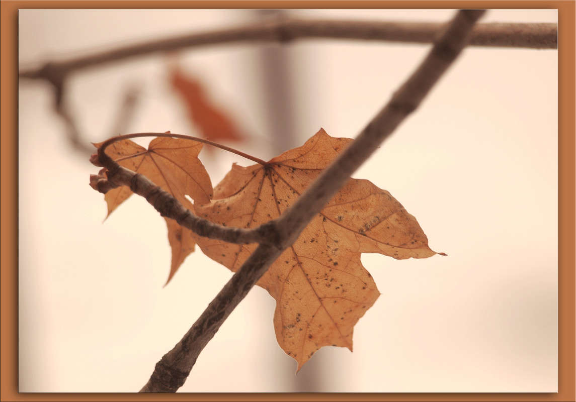 �������� ������ 11 ����� ������  �� PhotoGeek.ru #������ ��� �������