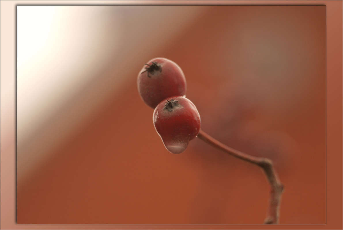 ��������� �������� ����� ������  �� PhotoGeek.ru #������ ��� �������