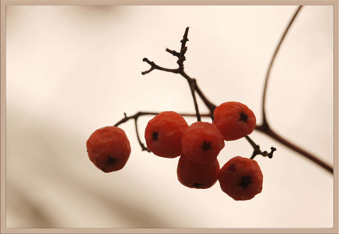 �������� ������ 12 ����� ������  �� PhotoGeek.ru #������ ��� �������