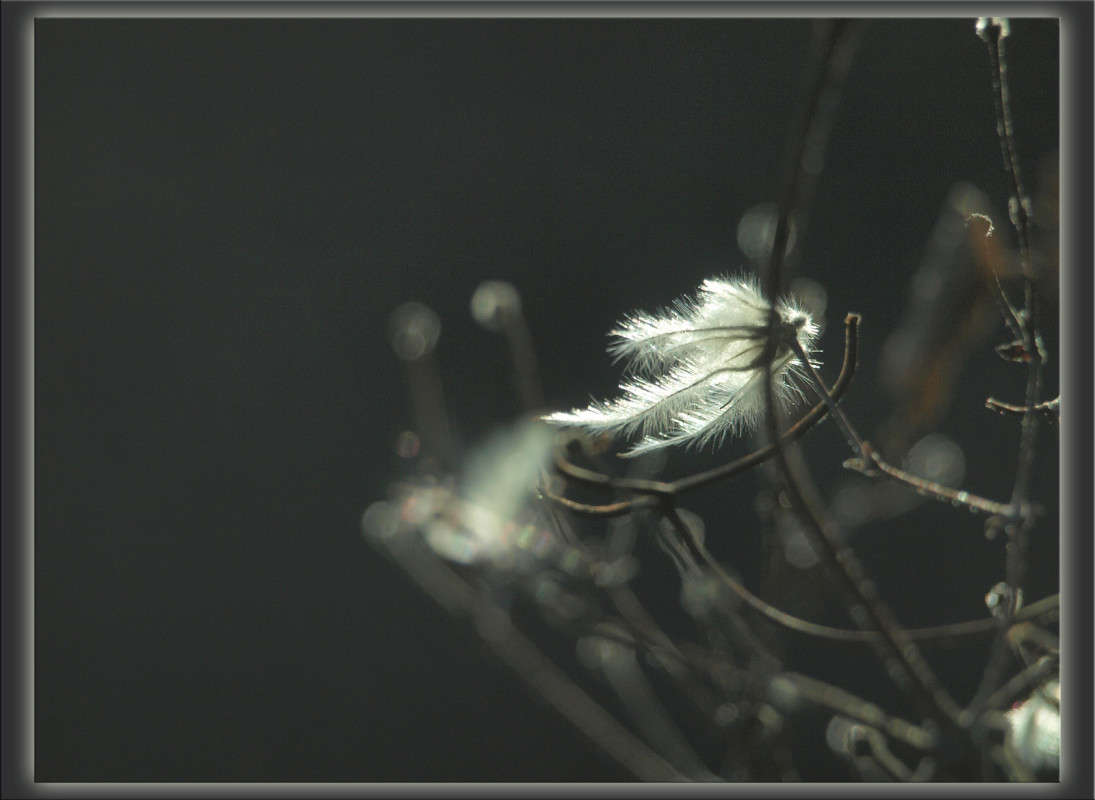 ������� �� ����� 2 ����� ������  �� PhotoGeek.ru #������ ��� �������