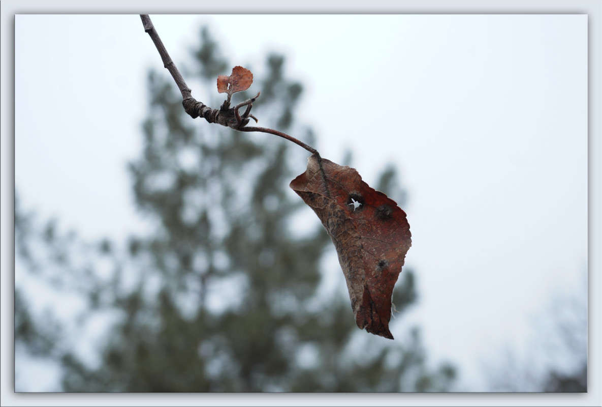 ������� �� ����� ����� ������  �� PhotoGeek.ru #������ ��� �������