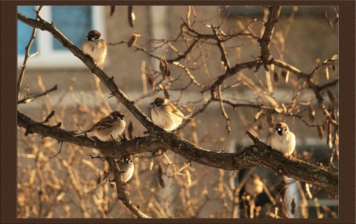 ��������� ����� ������  �� PhotoGeek.ru #�������� ���