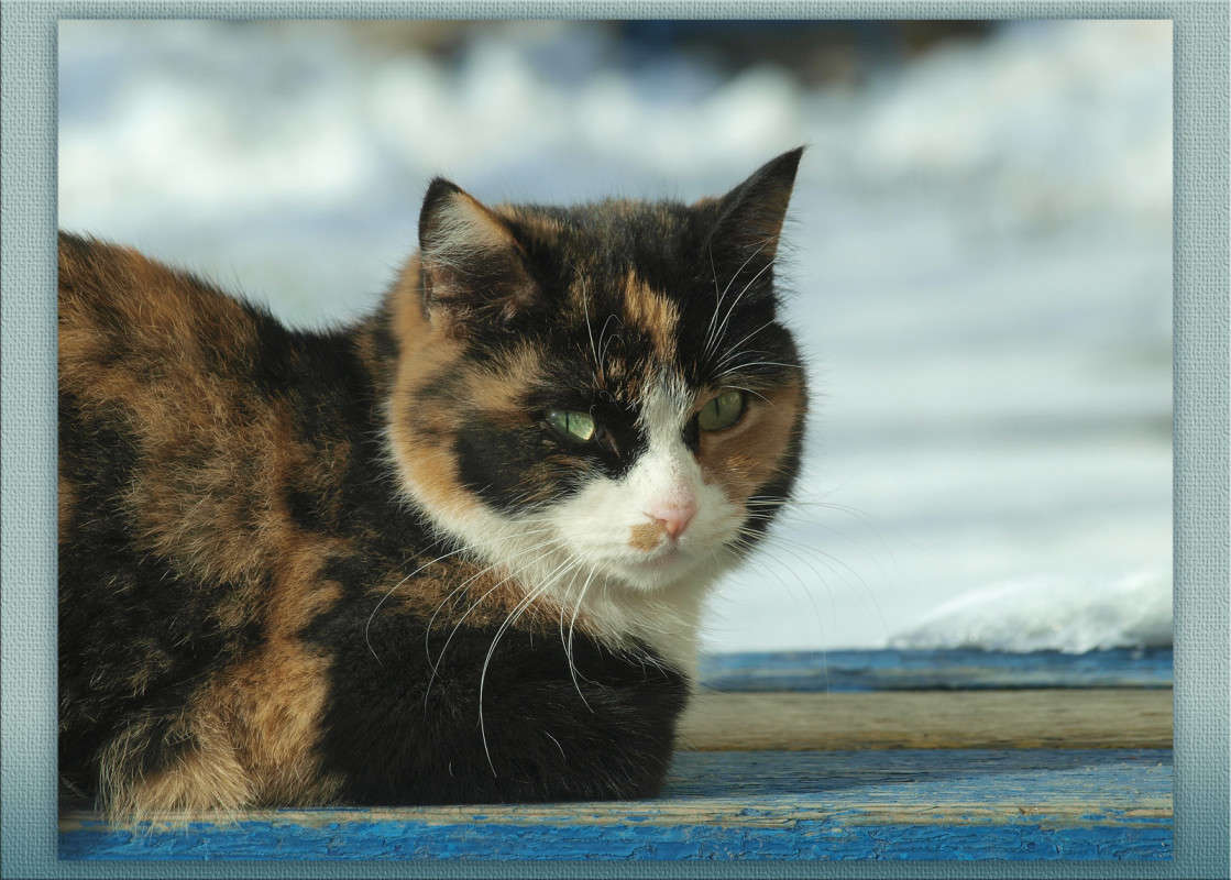 �� ������ �������� ����� ������  �� PhotoGeek.ru #�������� ���