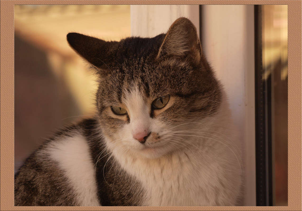 �� �������� ������ 33 ������� ����� ������  �� PhotoGeek.ru #�������� ���