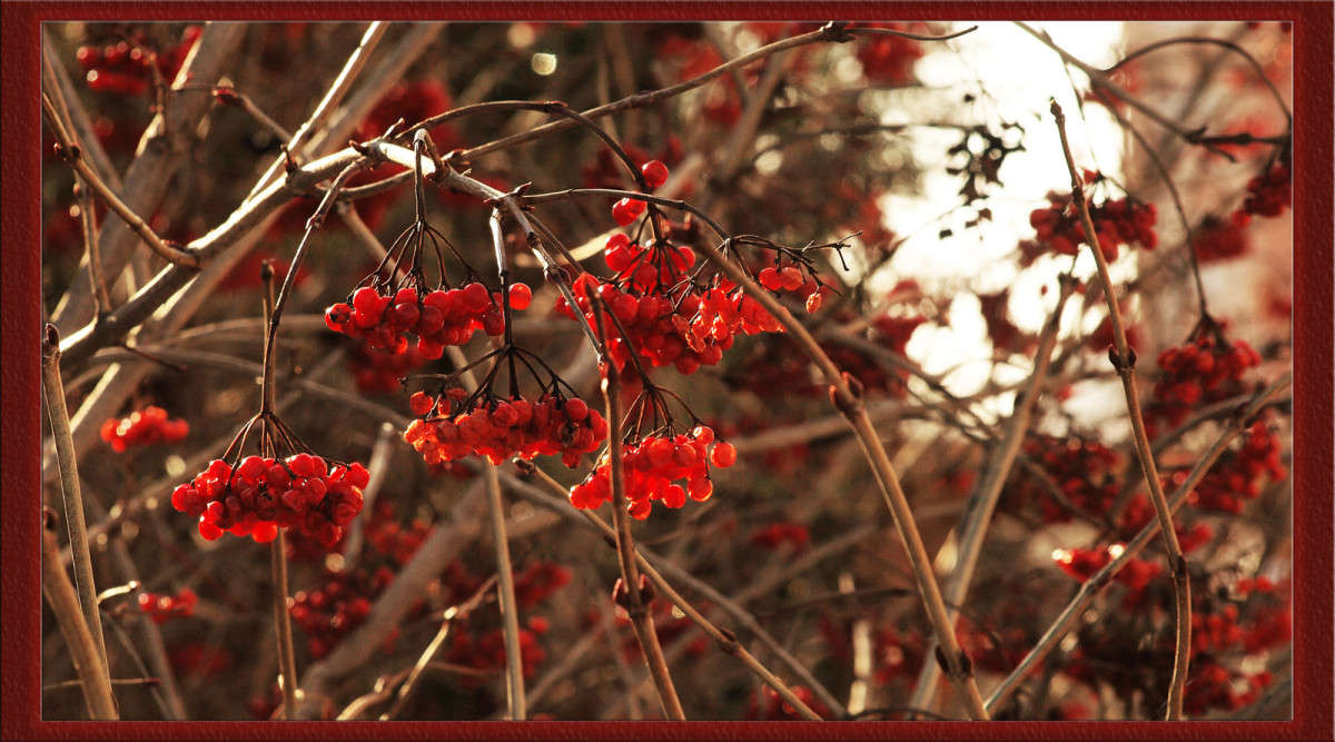 ������ ������ ����� ������  �� PhotoGeek.ru #������ ��� �������