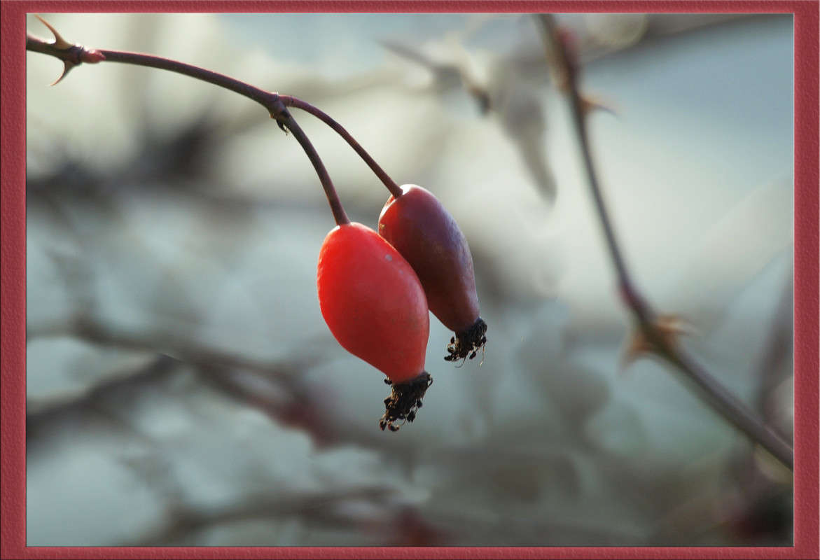 ��� ������ ����� ������  �� PhotoGeek.ru #������ ��� �������