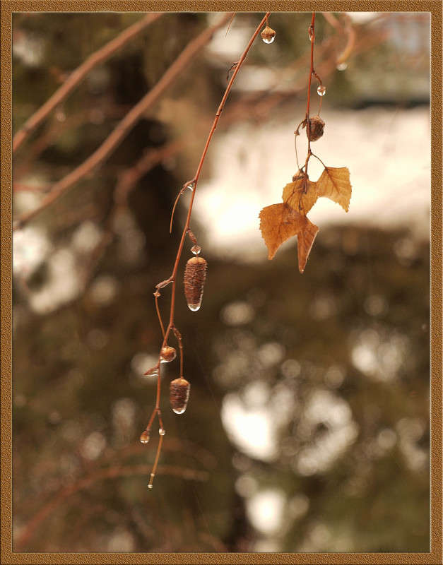 �������� ������ 13 ����� ������  �� PhotoGeek.ru #������ ��� �������