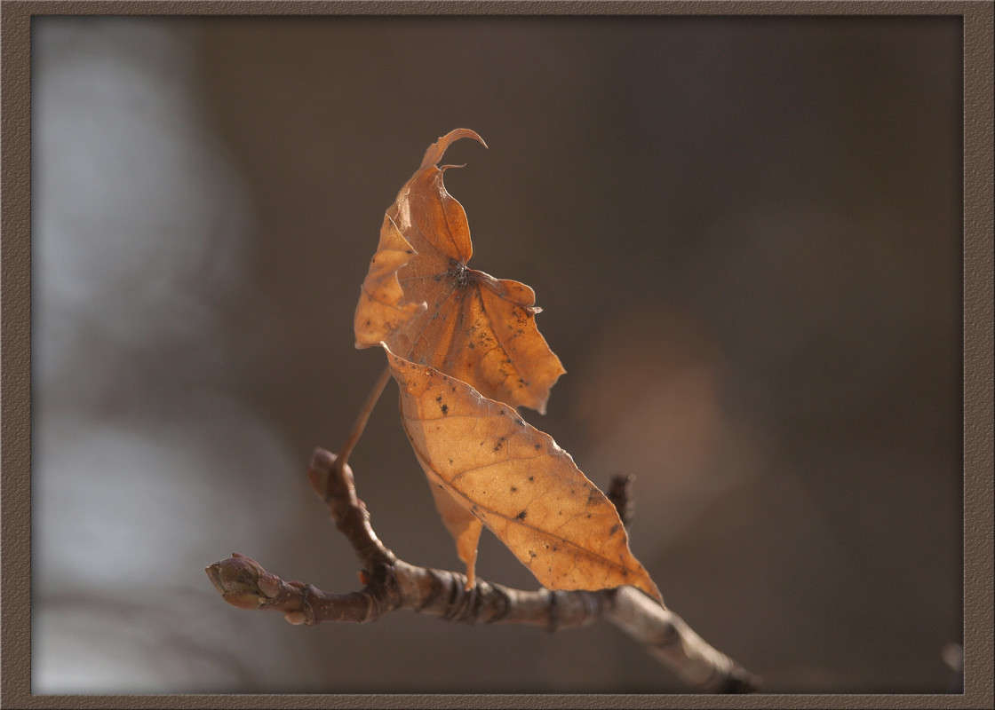 ������ ������ ����� ������  �� PhotoGeek.ru #������ ��� �������