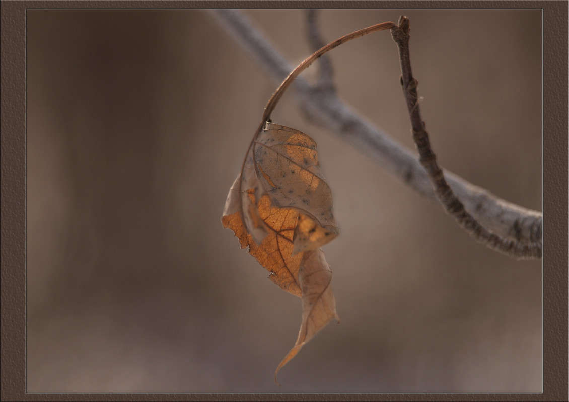 ������ ������ 2 ����� ������  �� PhotoGeek.ru #������ ��� �������