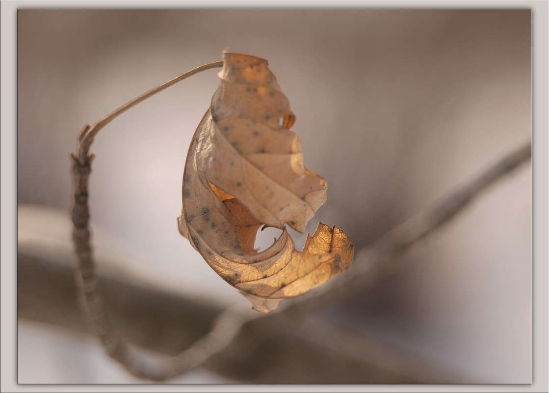 ������ ������ 3 ����� ������  �� PhotoGeek.ru #������ ��� �������