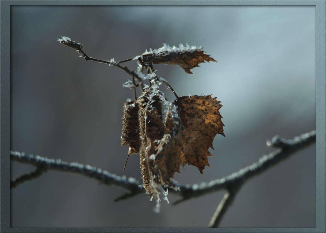 ������ ������ 4 ����� ������  �� PhotoGeek.ru #������ ��� �������