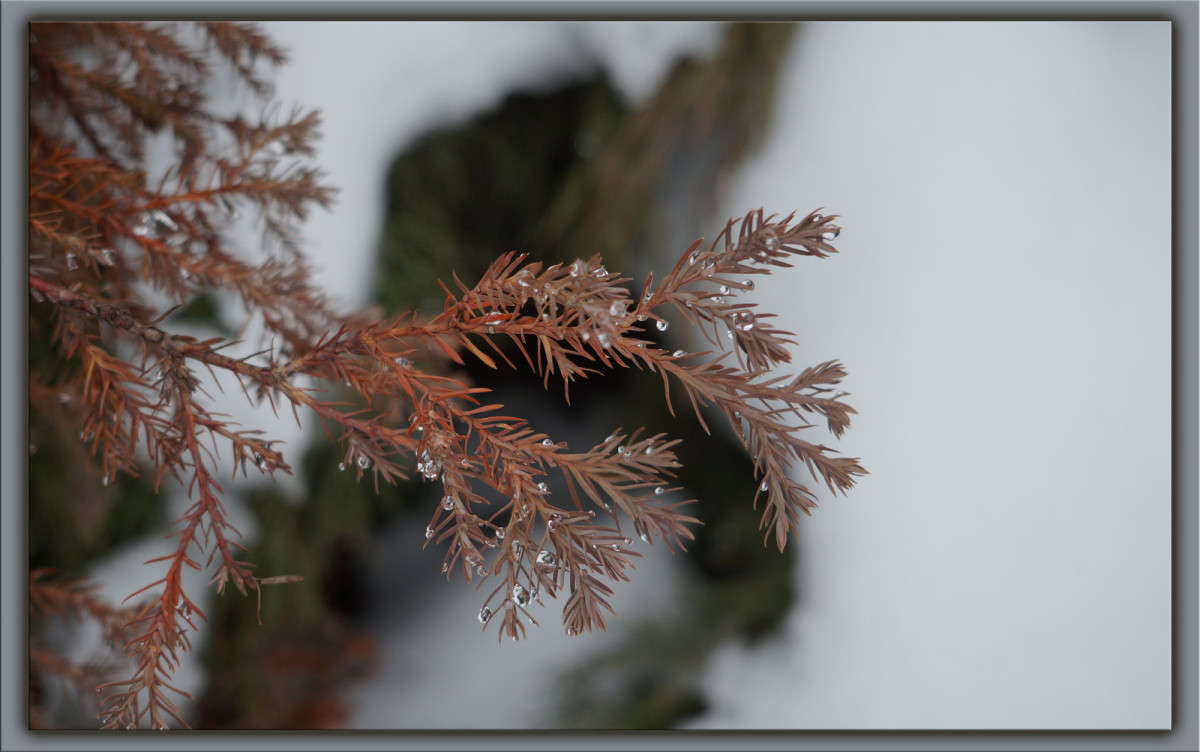 ���� � �������� ����� ������  �� PhotoGeek.ru #������ ��� �������