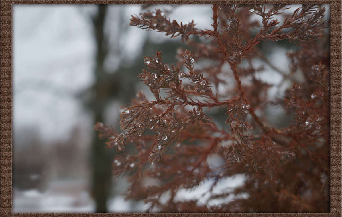 ���� � �������� 2 ����� ������  �� PhotoGeek.ru #������ ��� �������