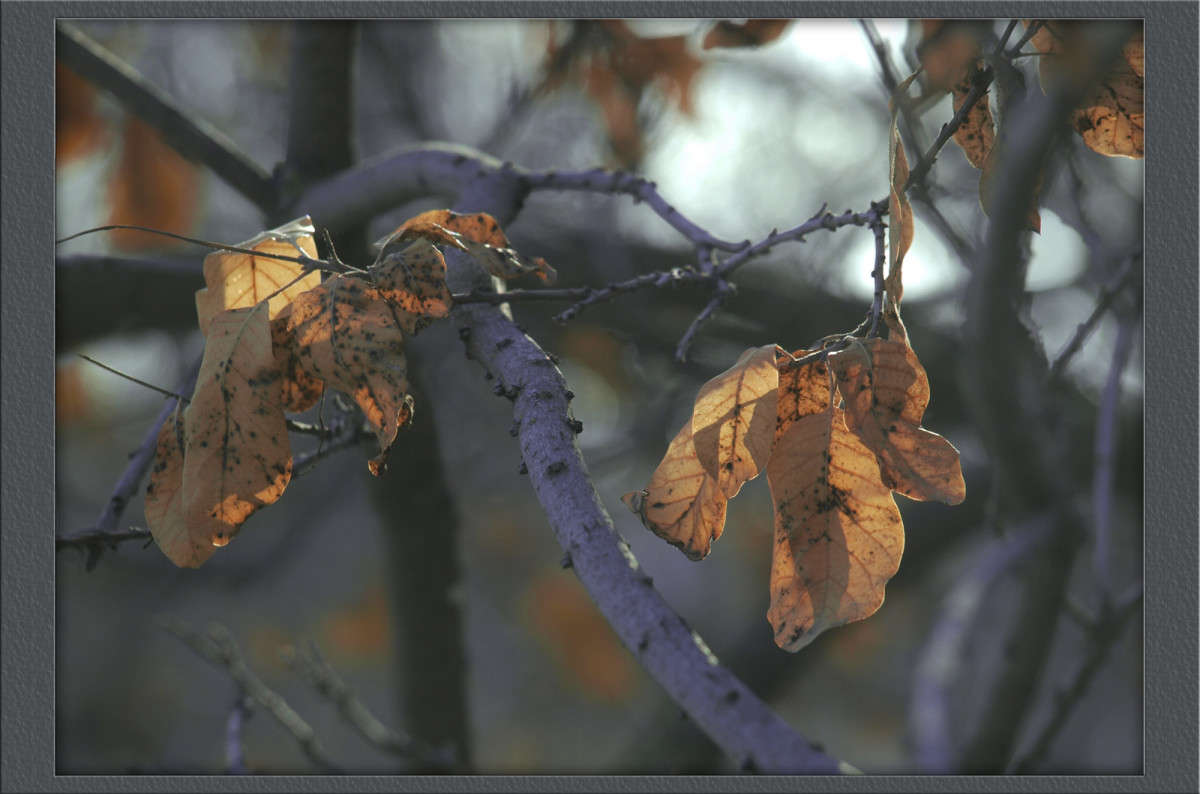 ������ ������ 5 ����� ������  �� PhotoGeek.ru #������ ��� �������