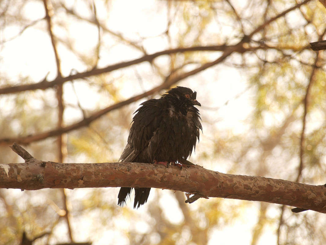 ������ � �������� ����� ������  �� PhotoGeek.ru #�������� ���