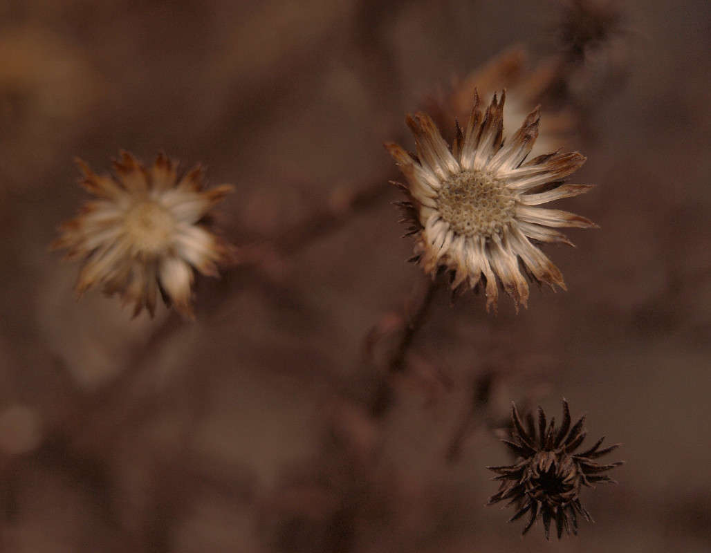 ������� �� ����� 3 ����� ������  �� PhotoGeek.ru #������ ��� �������