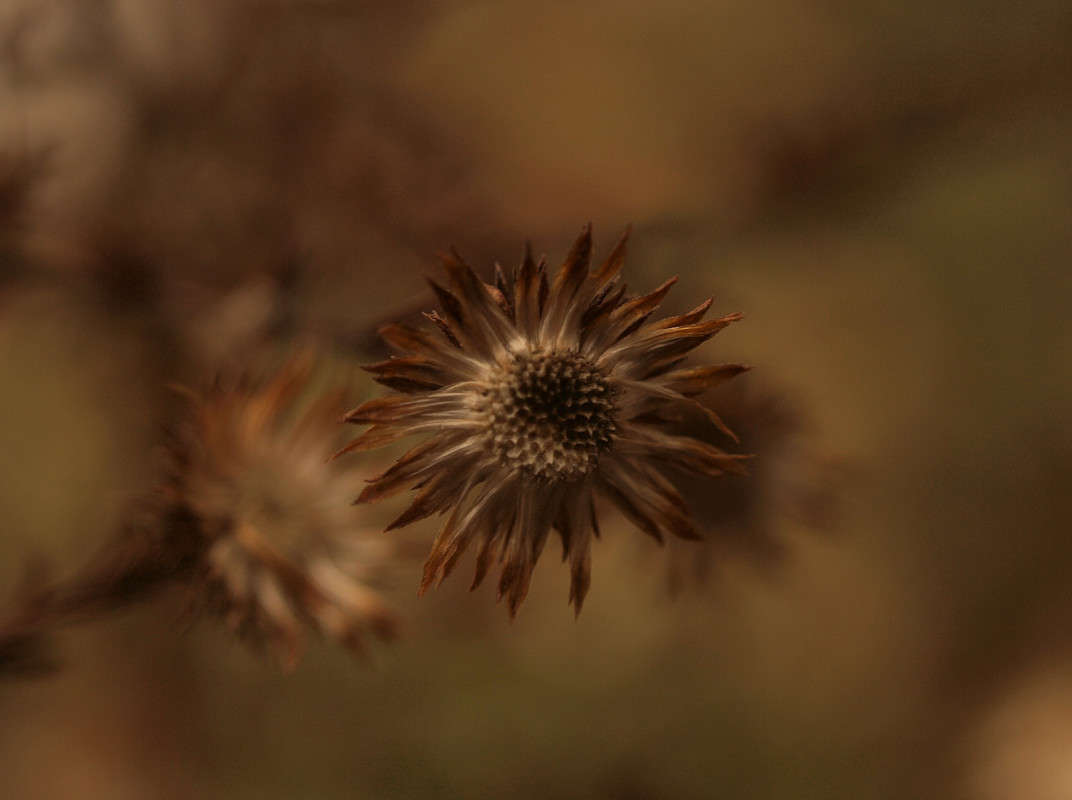 ������� �� ����� 4 ����� ������  �� PhotoGeek.ru #������ ��� �������