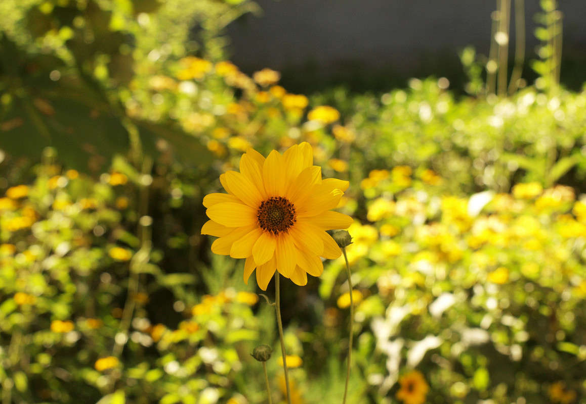 ������� � ���� 2 ����� ������  �� PhotoGeek.ru #������ ��� �������