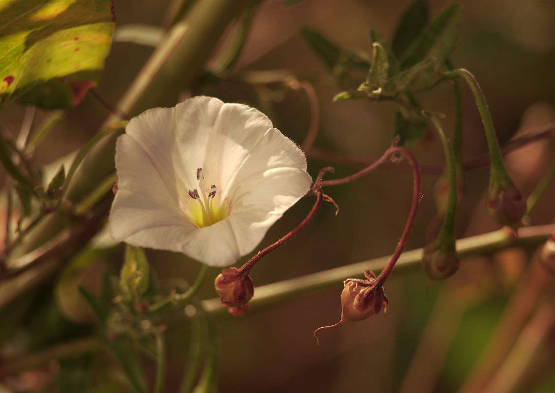 ������� � ���� ����� ������  �� PhotoGeek.ru #������ ��� �������