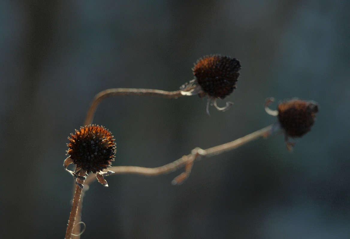 ����� ����� ������  �� PhotoGeek.ru #������ ��� �������