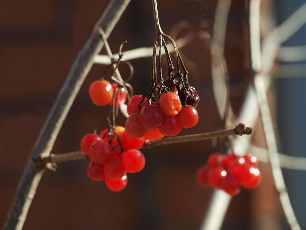 ������ ����� ����� ����� ������  �� PhotoGeek.ru #������ ��� �������