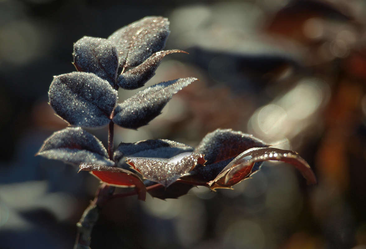 ������� �� ����� 7 ����� ������  �� PhotoGeek.ru #������ ��� �������