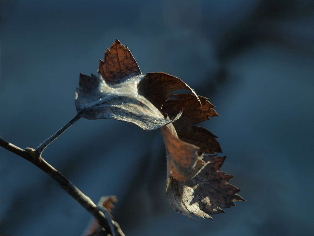 ������� �� ����� 6 ����� ������  �� PhotoGeek.ru #������ ��� �������