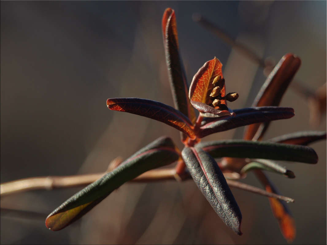 � ��� ���� ����� ������  �� PhotoGeek.ru #������ ��� �������