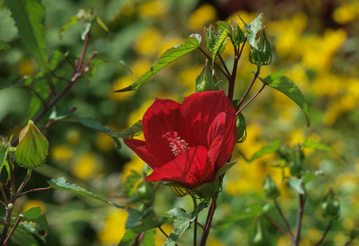 ������� � ���� 6 ����� ������  �� PhotoGeek.ru #������ ��� �������