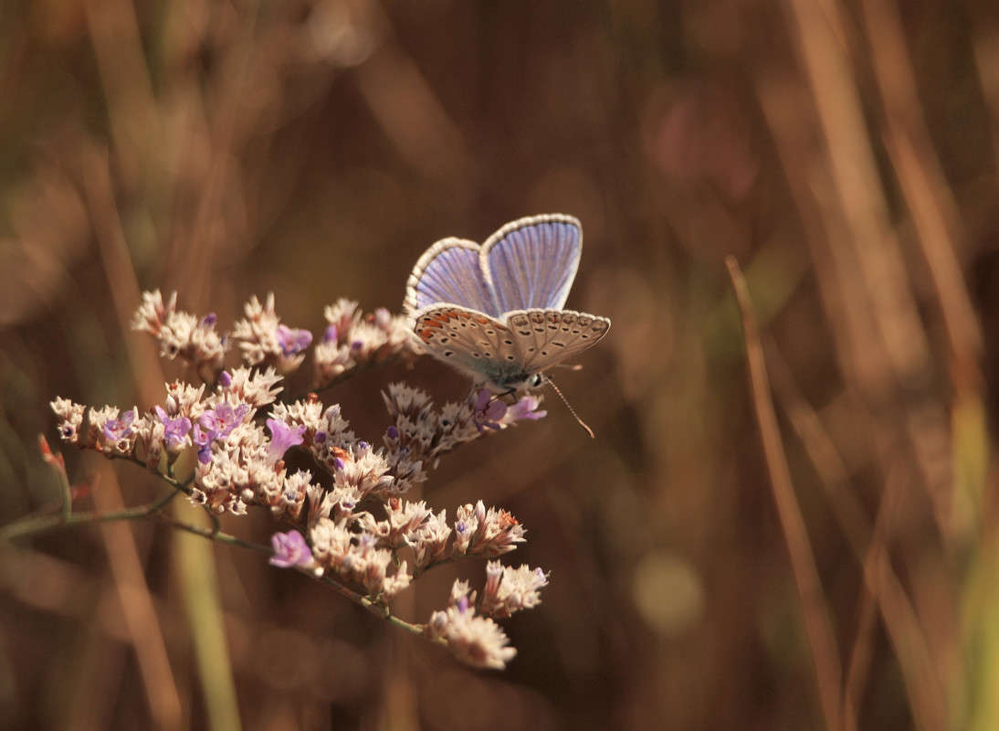 ������� � ���� 5 ����� ������  �� PhotoGeek.ru #������ ��� �������