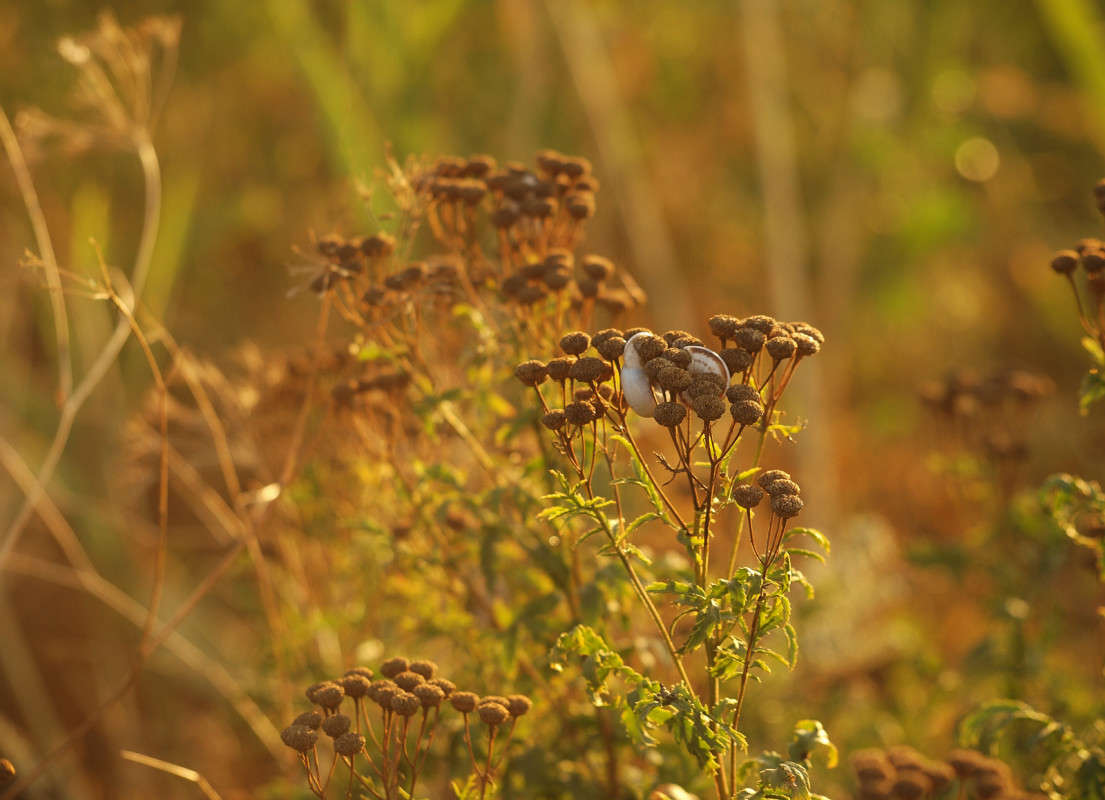 ������� � ���� 7 ����� ������  �� PhotoGeek.ru #������ ��� �������