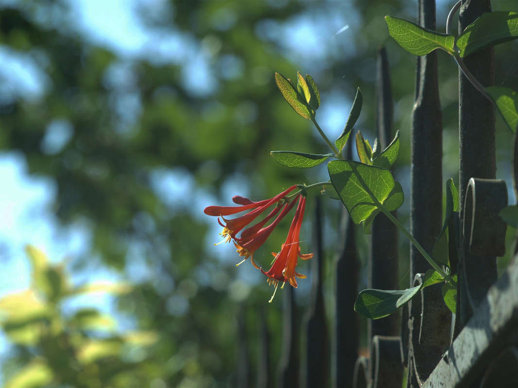 ������� � ���� 8 ����� ������  �� PhotoGeek.ru #������ ��� �������