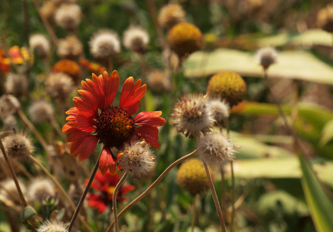 ������� � ���� 9 ����� ������  �� PhotoGeek.ru #������ ��� �������