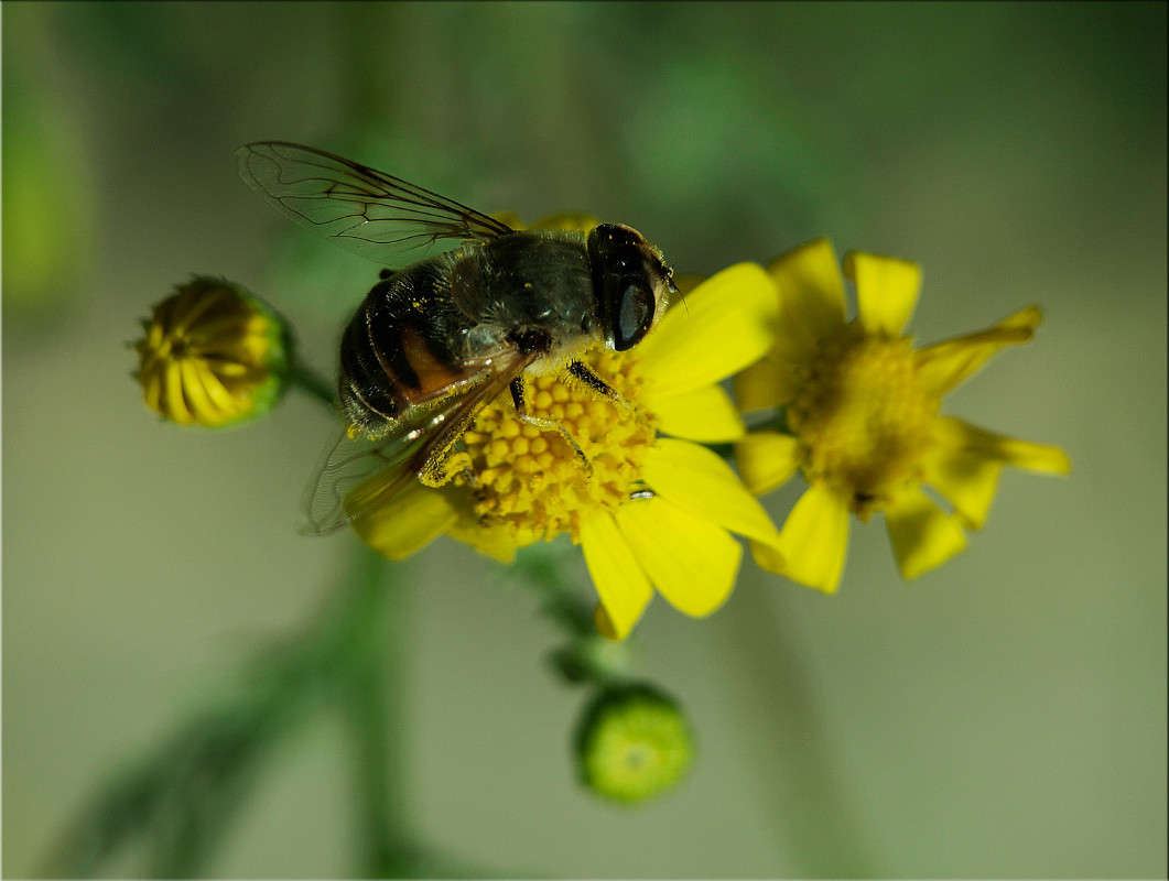 � ������ ���� ����� ������  �� PhotoGeek.ru #�����